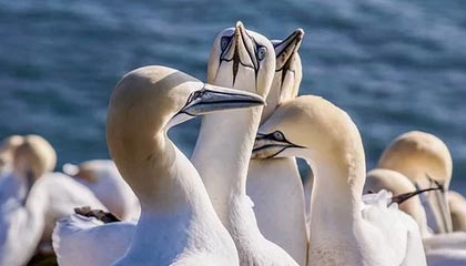 开云体育充值-线上直播互动，粉丝如何成为“主播”？，主播怎么做粉丝活动